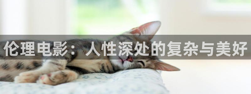 行业资讯